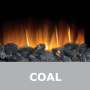 Coal